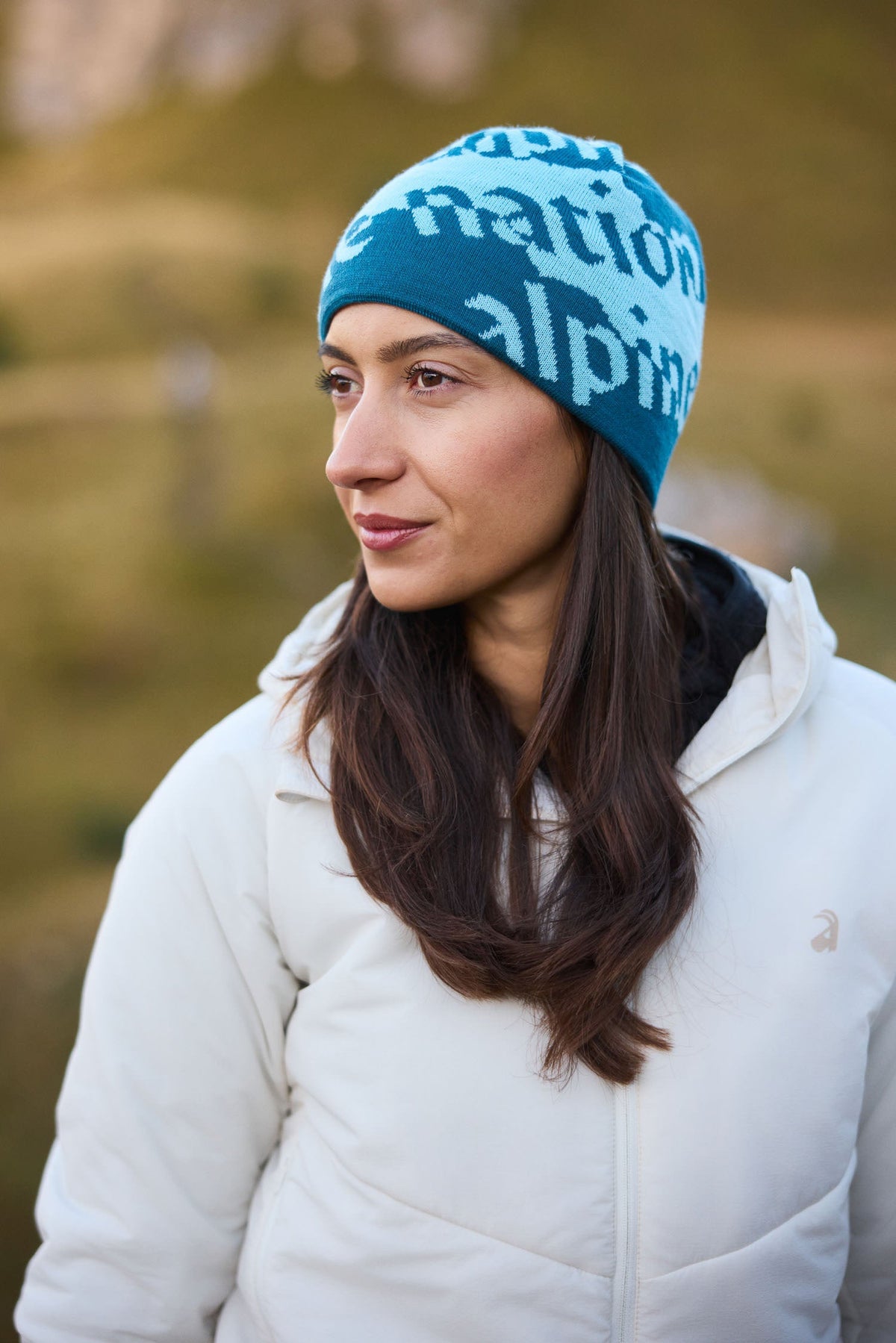 Logo Beanie Frost