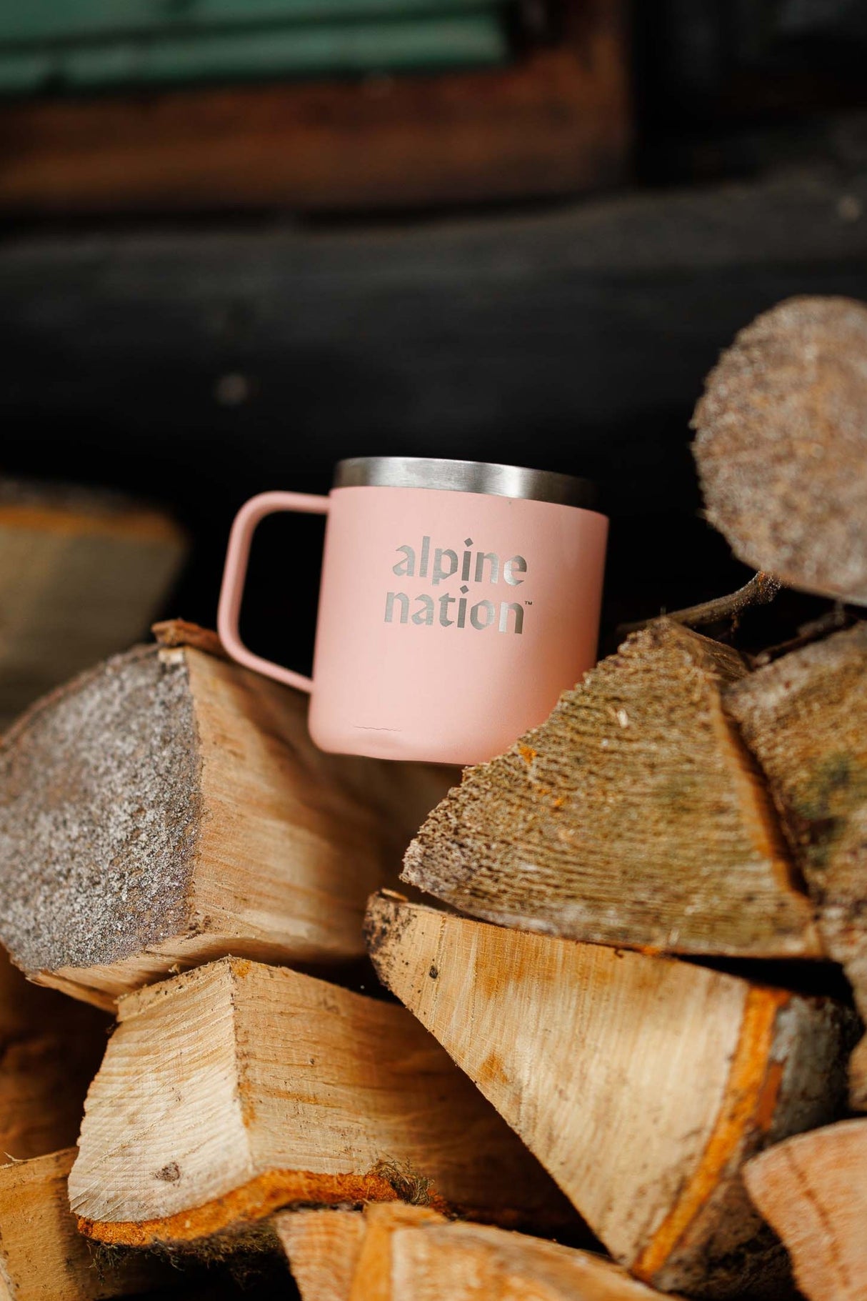 Vista Insulated Mug