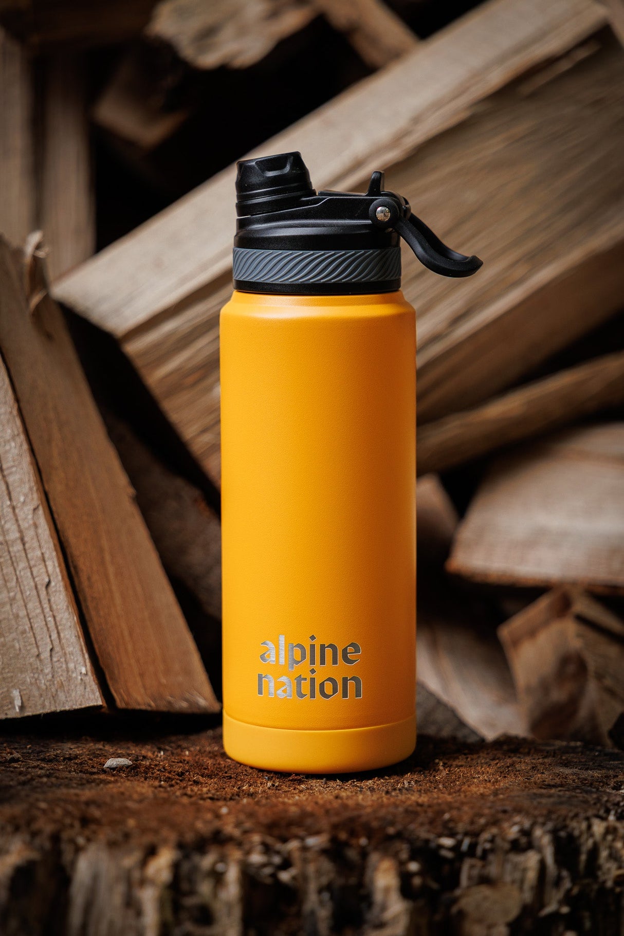 Vista Insulated Bottle