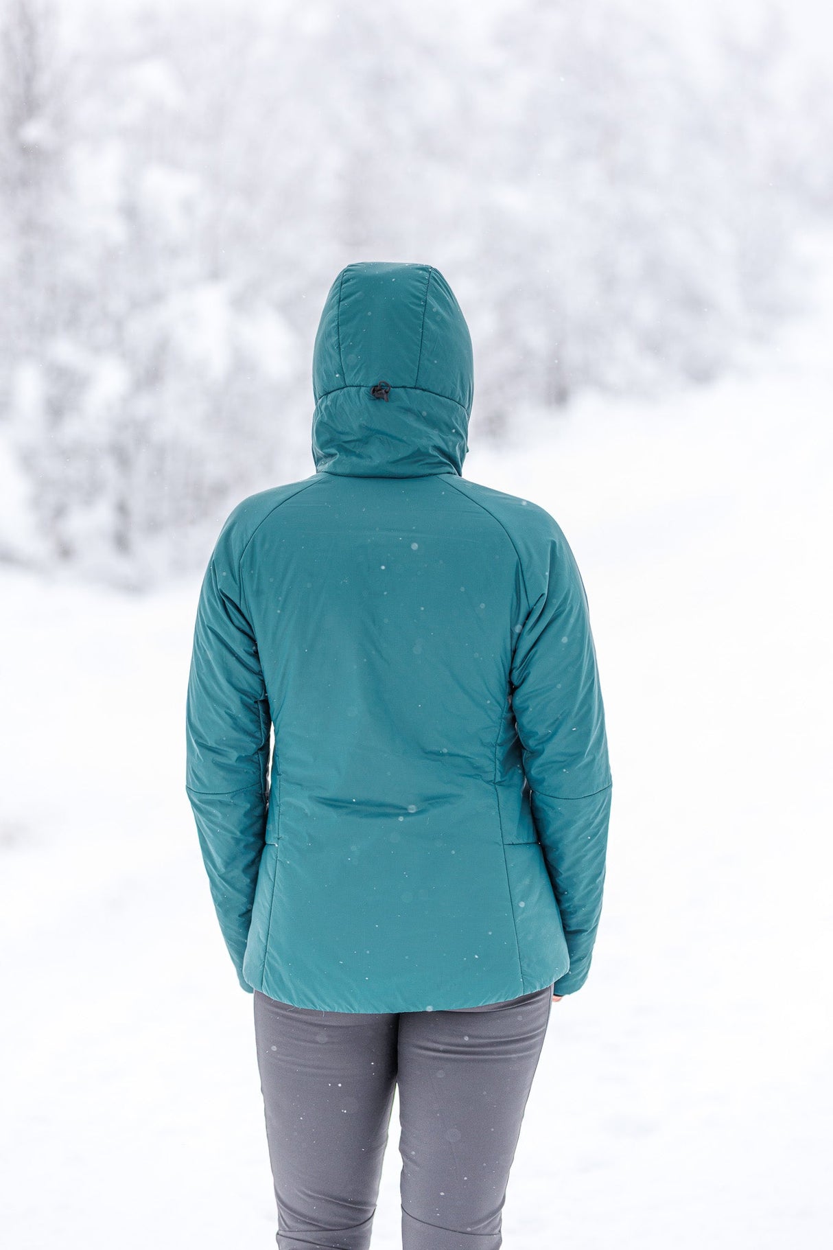 Elevate Insulated Jacket - Spruce